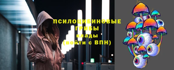 молекула духа Дегтярск